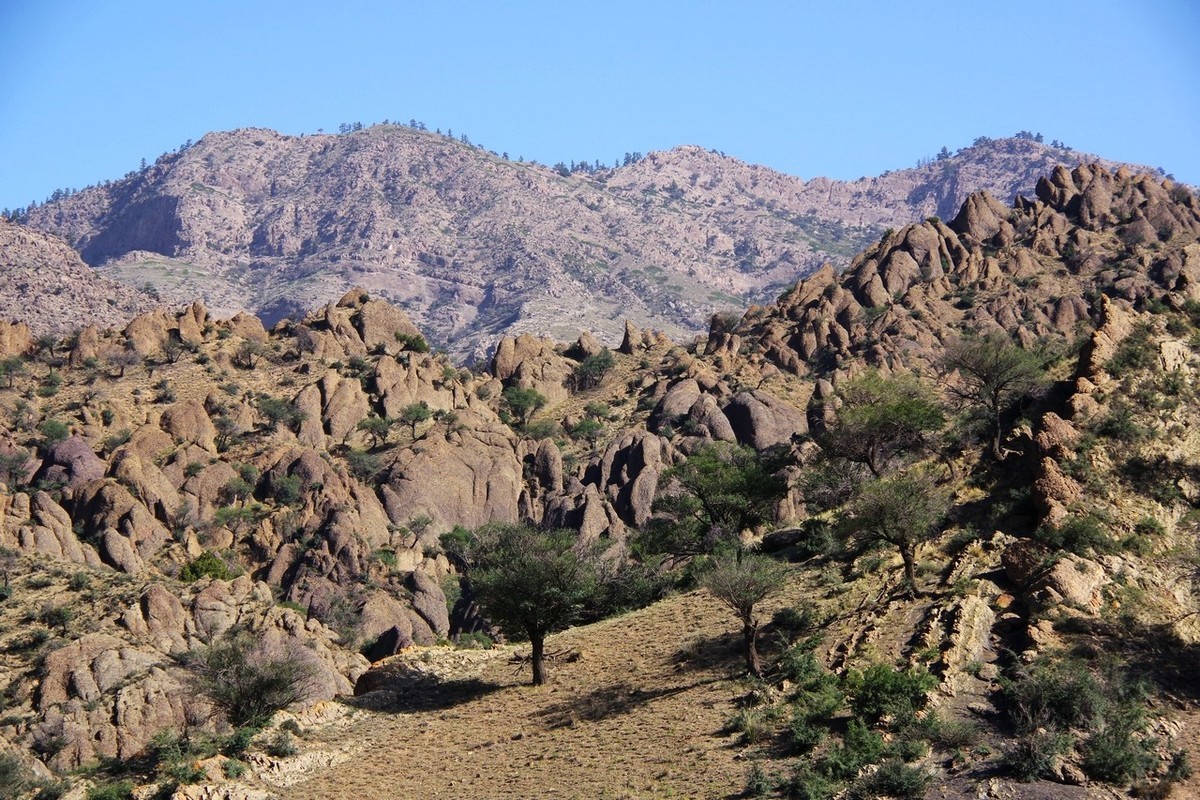 北寺及沿途所见