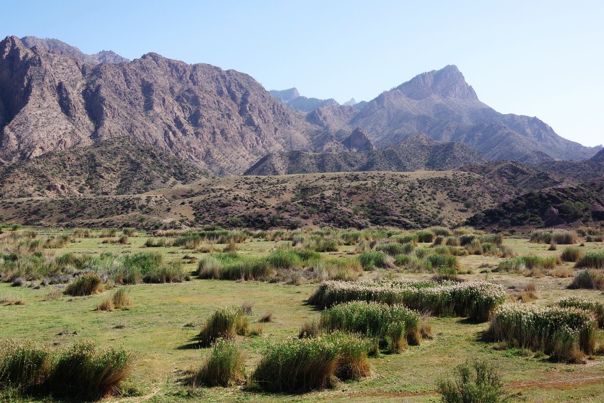 北寺及沿途所见