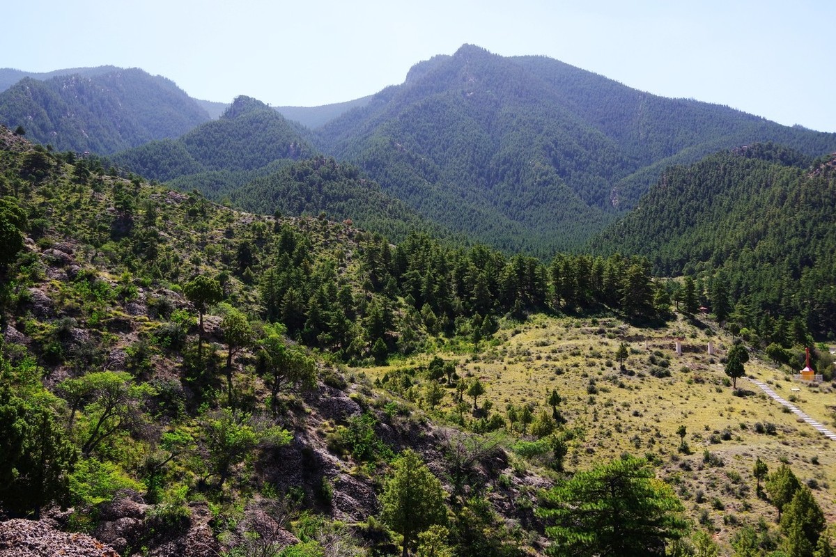 北寺及沿途所见
