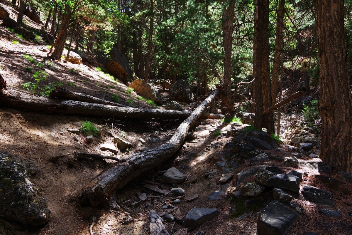 北寺及沿途所见