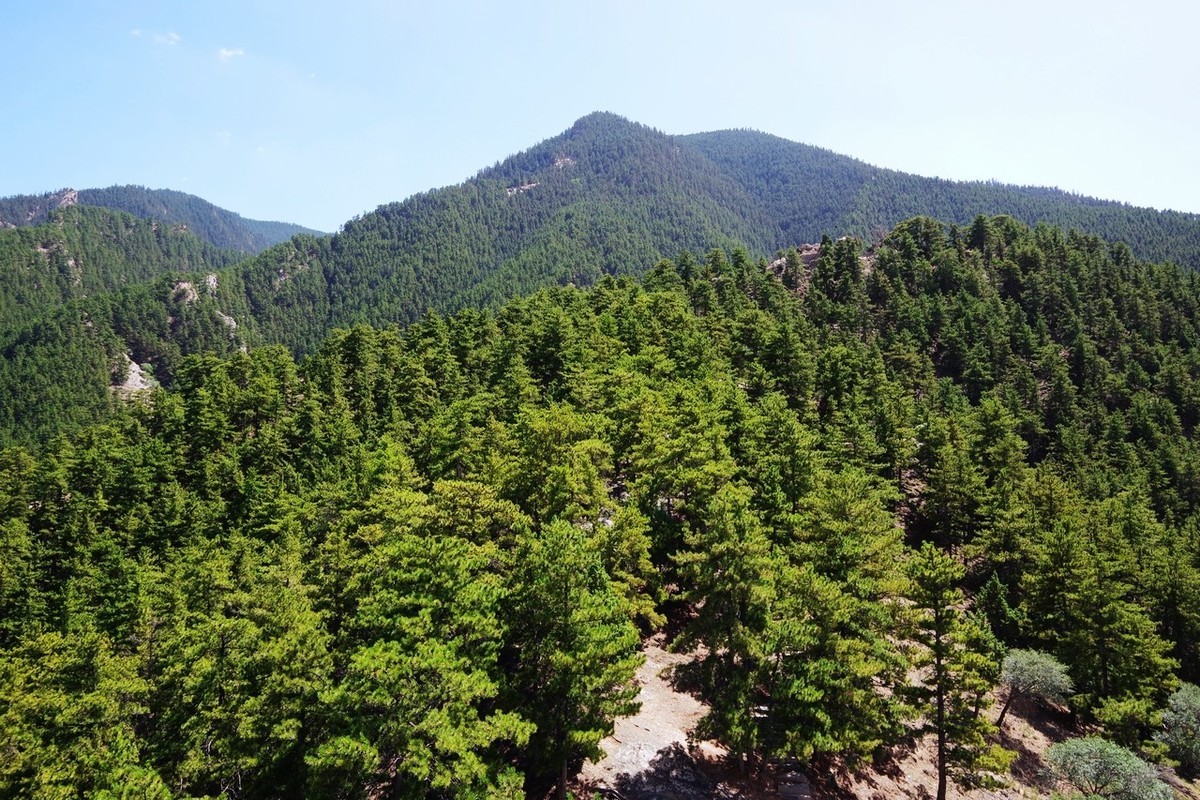 北寺及沿途所见