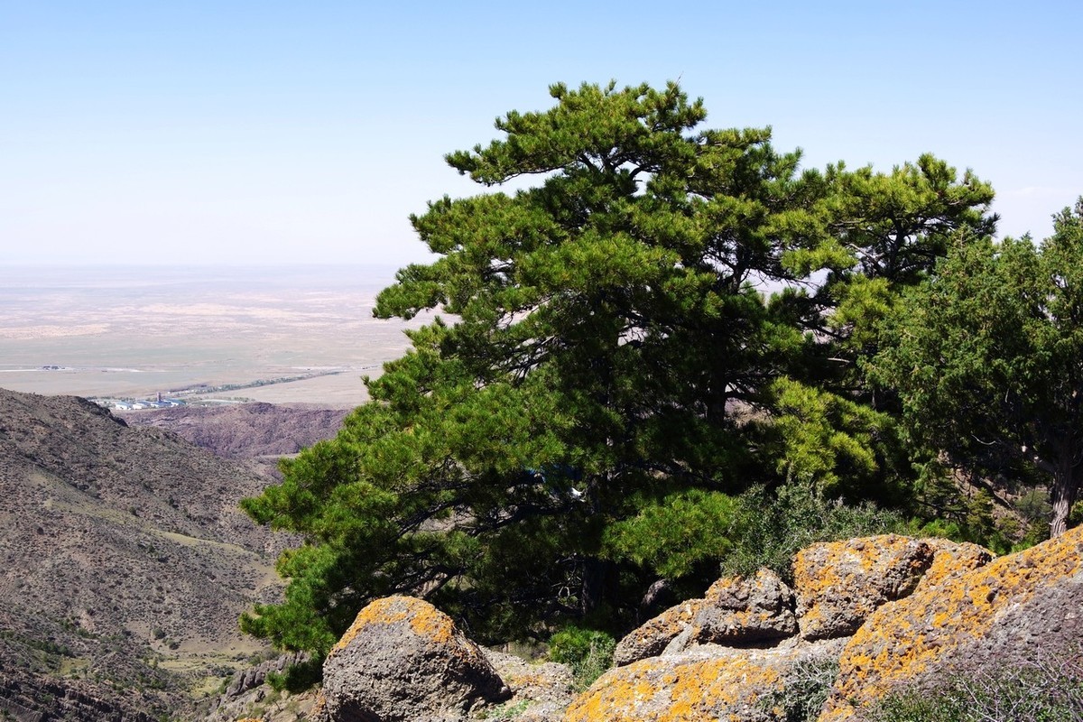 北寺及沿途所见
