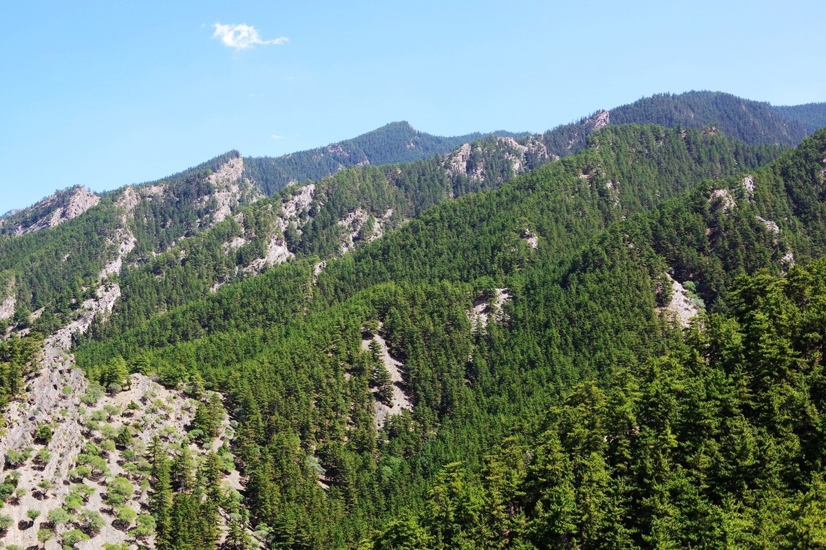 北寺及沿途所见