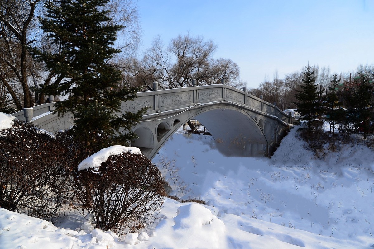 冬日人民公园（8）