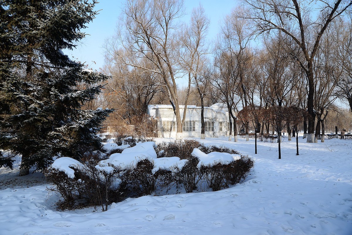 冬日人民公园（8）