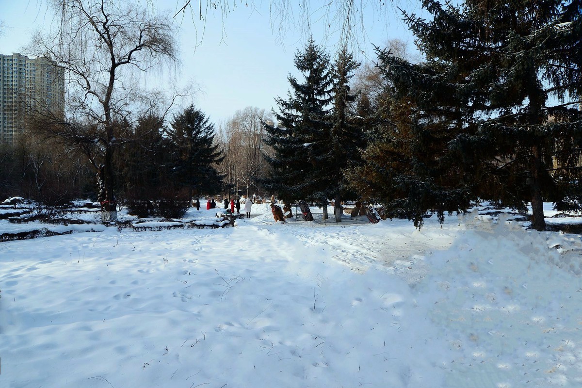 冬日人民公园（8）