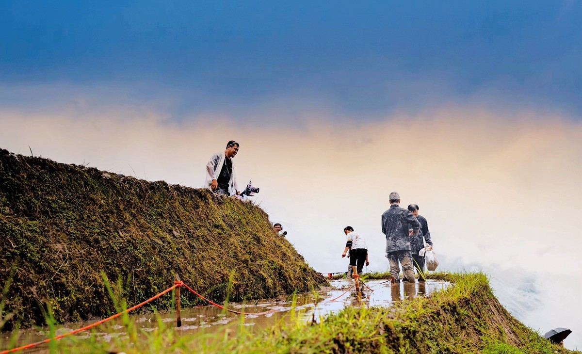2024一一龙脊梳秧节