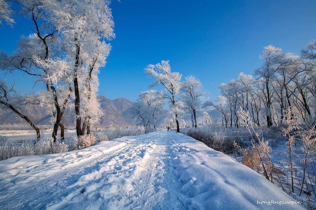 老片子 . 咔嚓瞬间