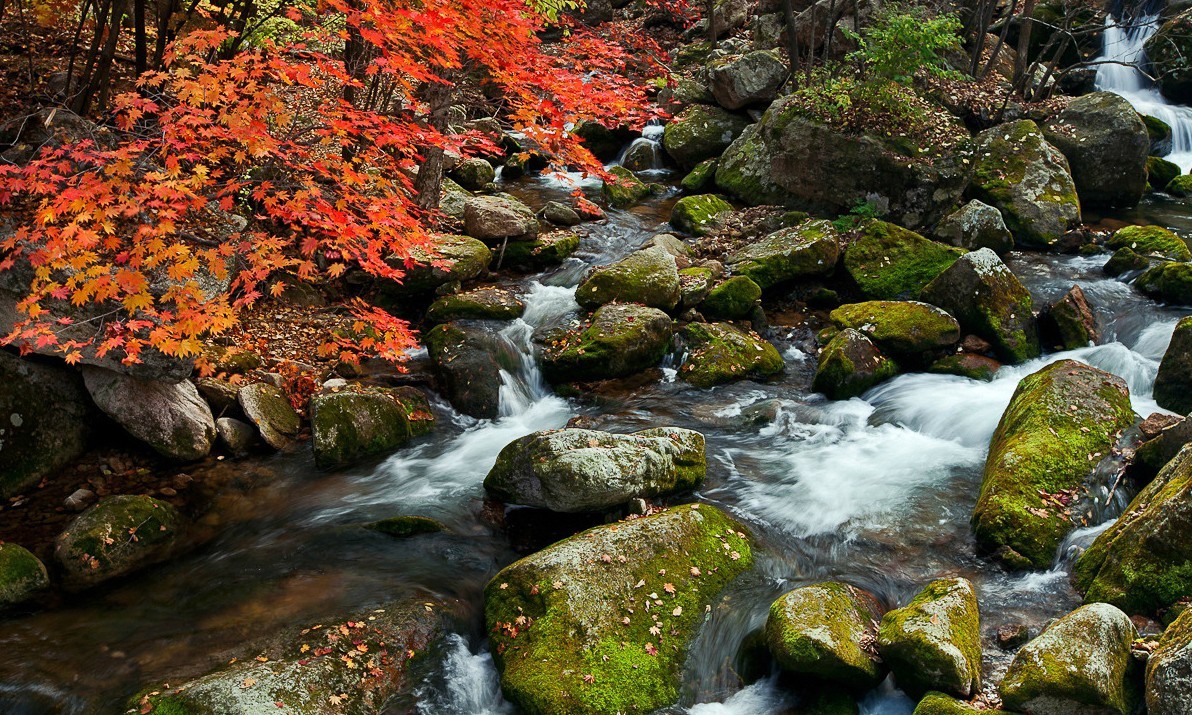 老片子 . 咔嚓瞬间