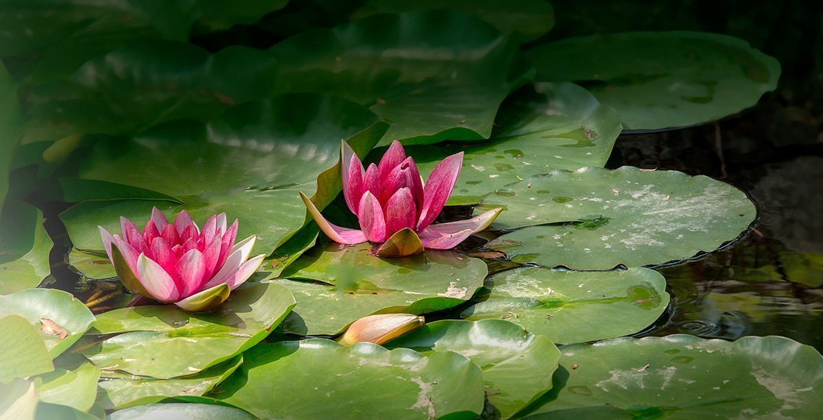 老片子 . 咔嚓瞬间