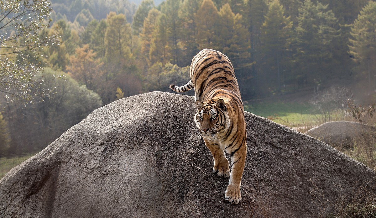 老片子 . 咔嚓瞬间