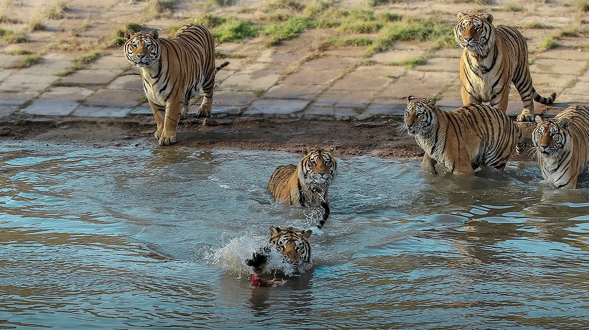 老片子 . 咔嚓瞬间