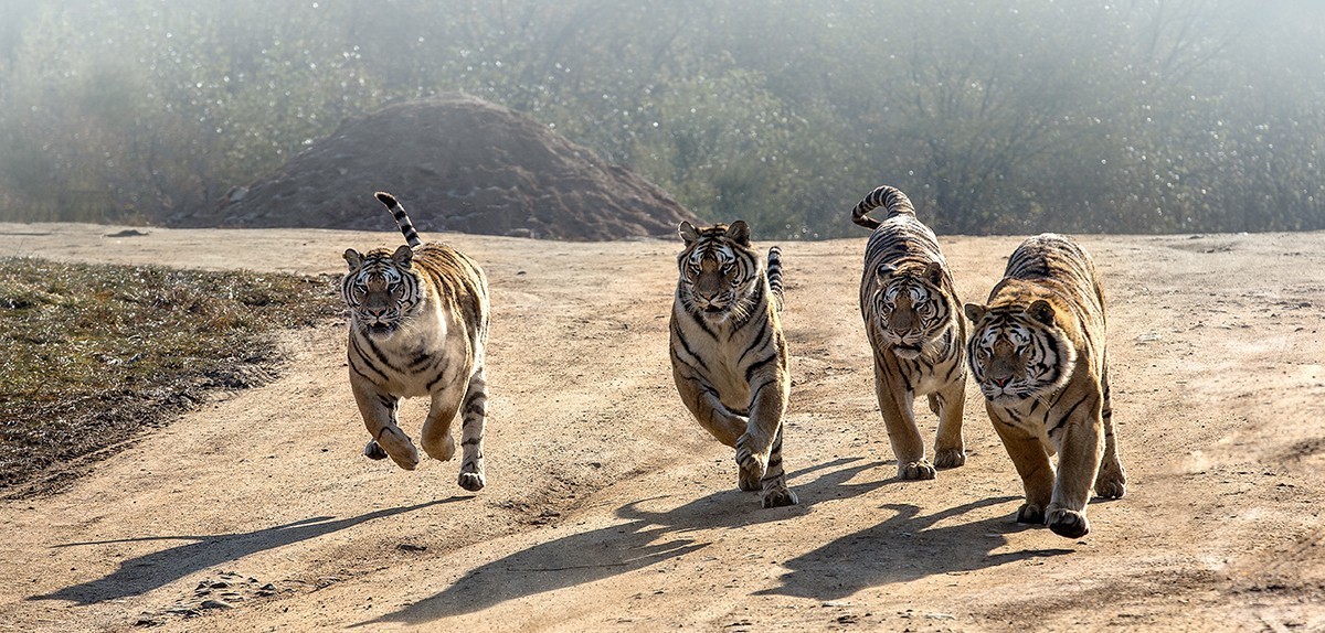 老片子 . 咔嚓瞬间