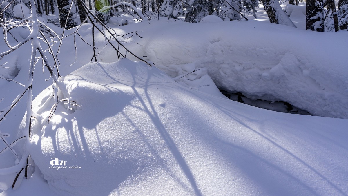 老克里湖林海雪原（13）
