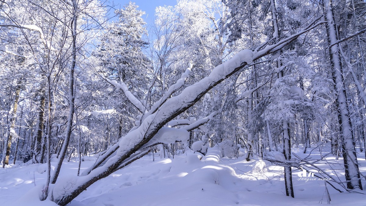 老克里湖林海雪原（13）