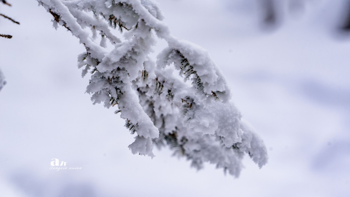 老克里湖林海雪原（13）