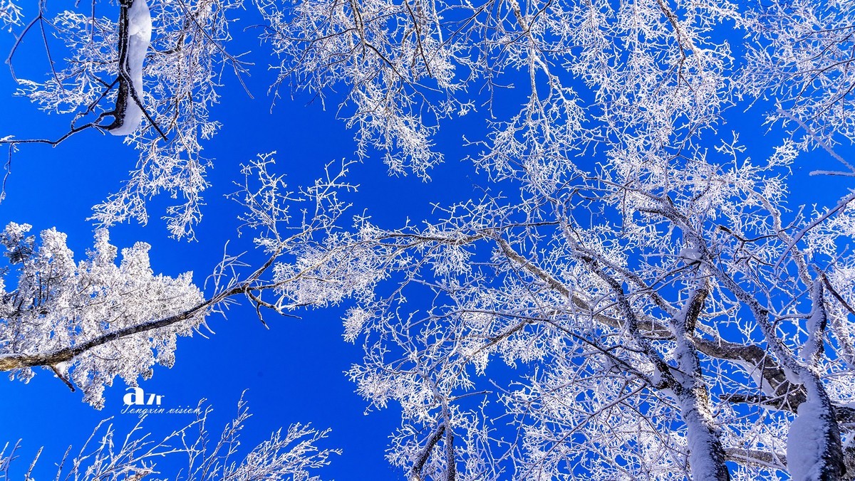 老克里湖林海雪原（13）