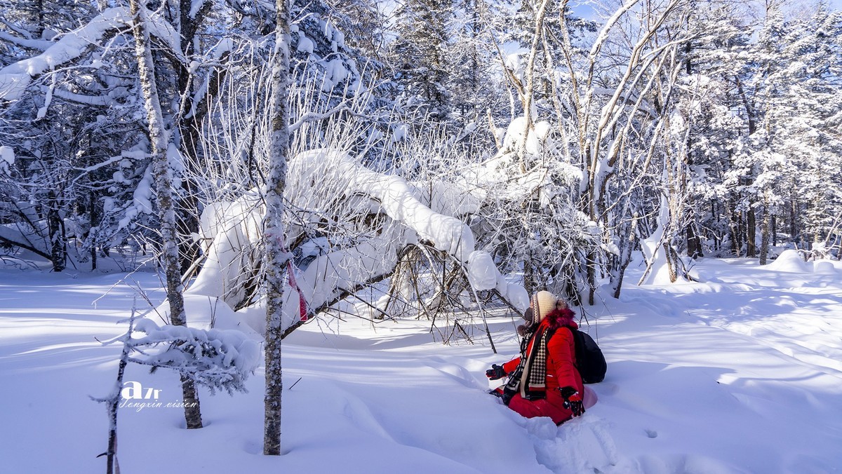 老克里湖林海雪原（13）