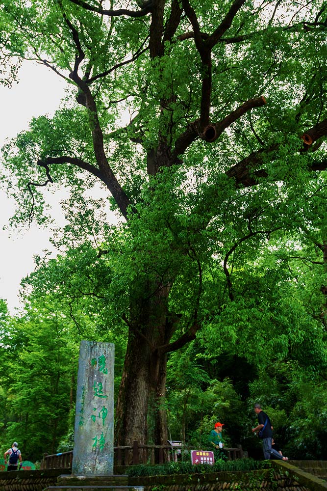 穿越千年的古文化生态村——晓起