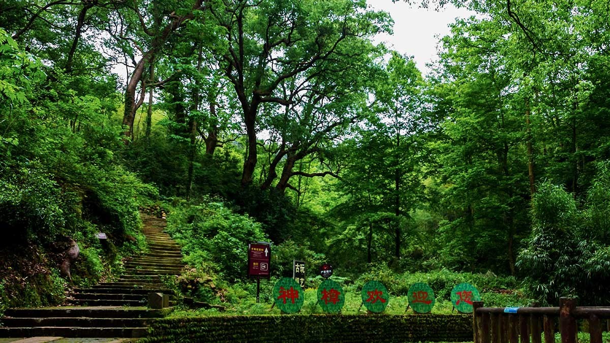 穿越千年的古文化生态村——晓起