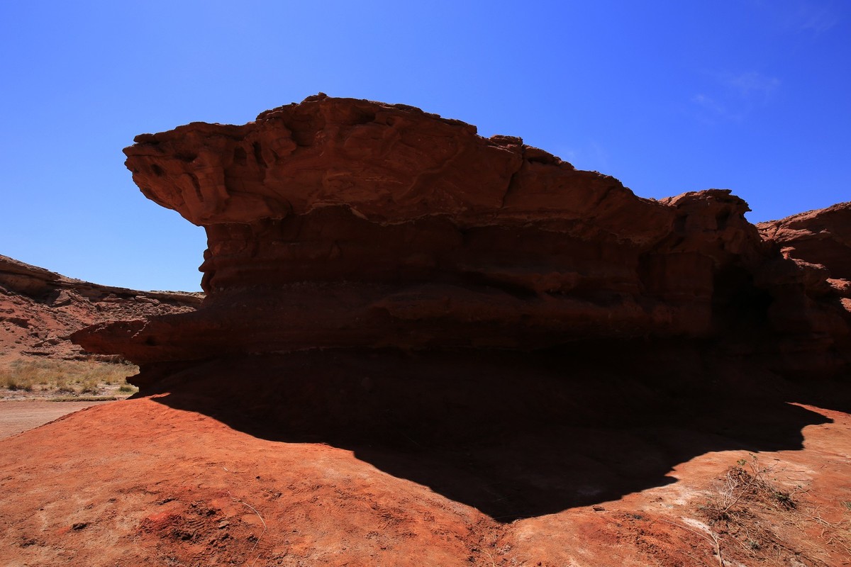 我只是把出去看到的随手记录下来（七十）