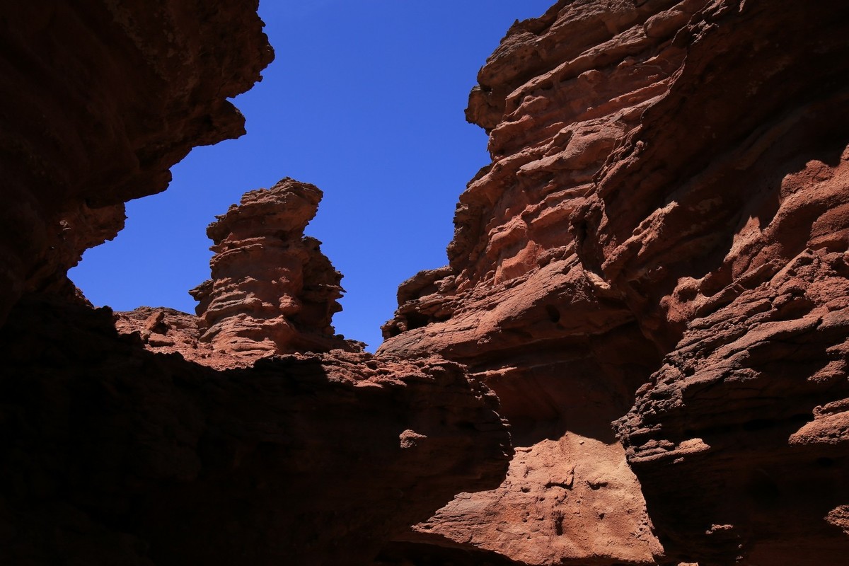 我只是把出去看到的随手记录下来（七十）