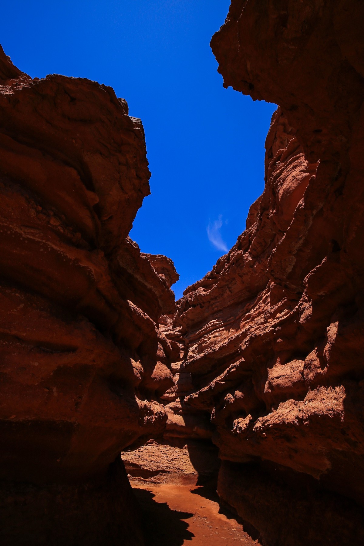 我只是把出去看到的随手记录下来（七十）