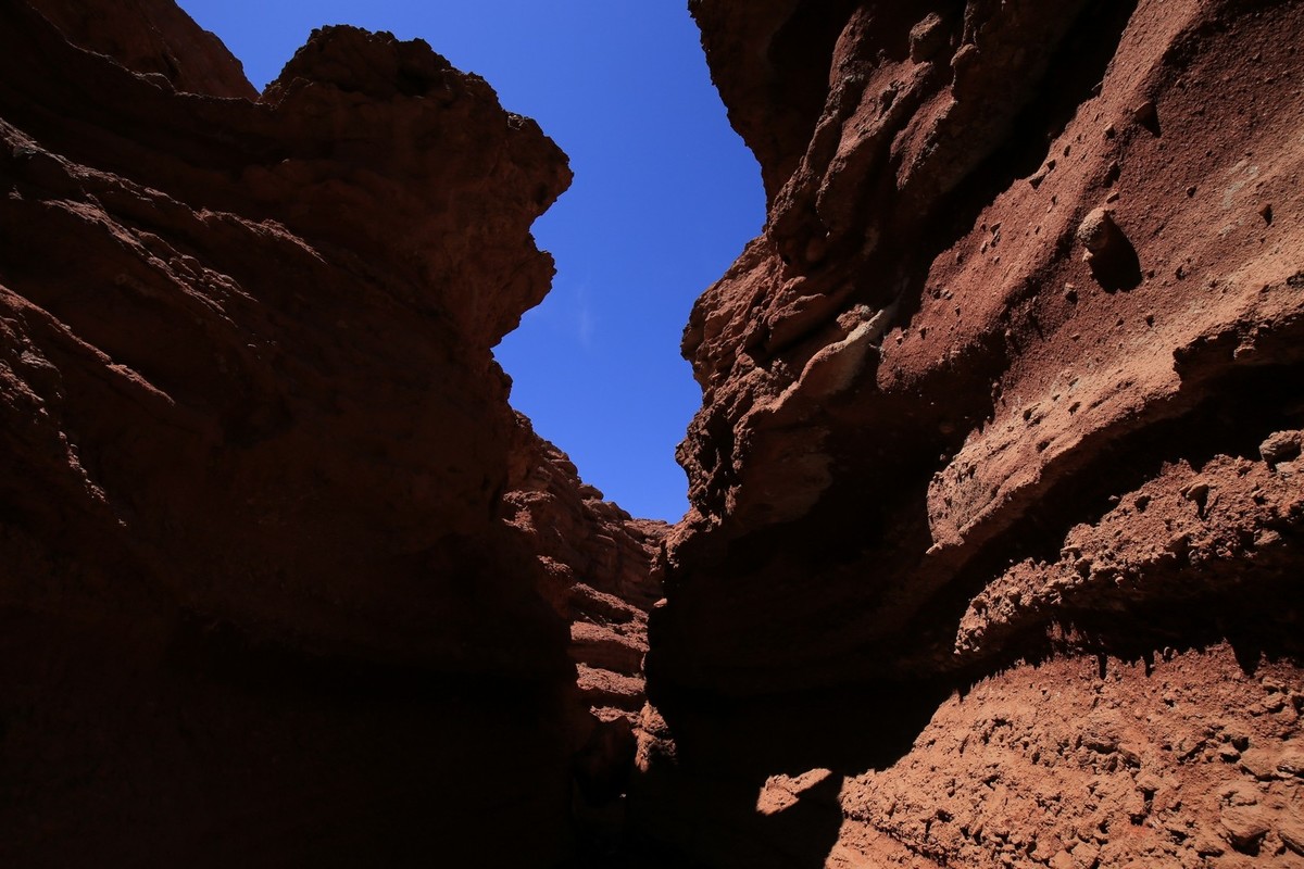 我只是把出去看到的随手记录下来（七十）