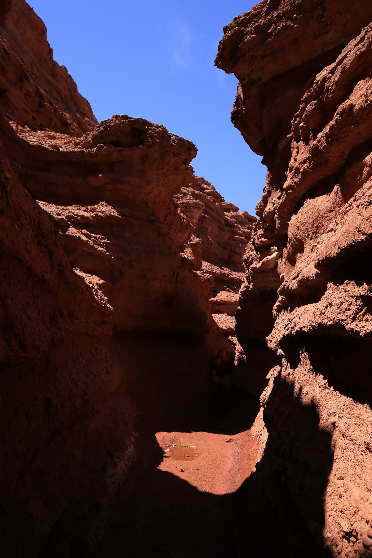 我只是把出去看到的随手记录下来（七十）