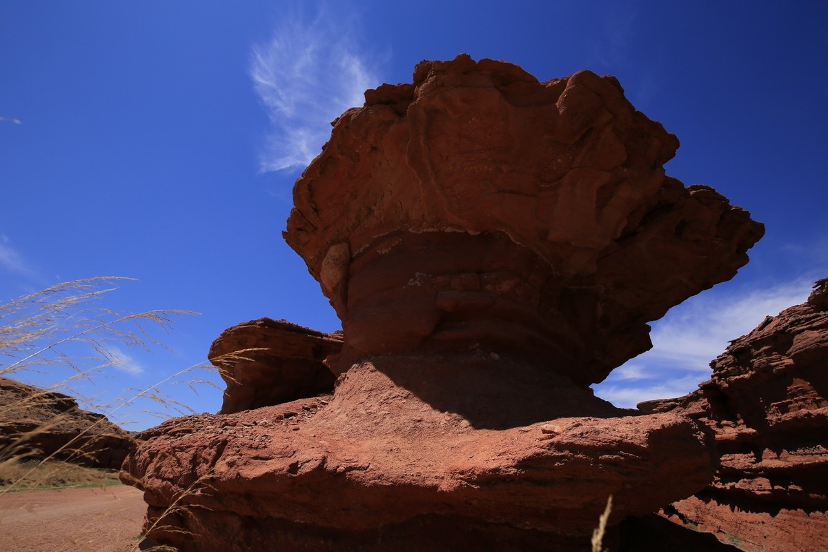 我只是把出去看到的随手记录下来（七十）