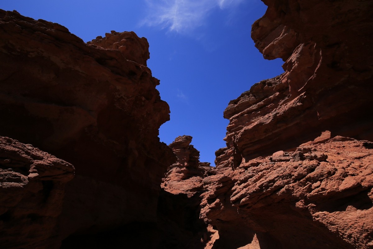 我只是把出去看到的随手记录下来（七十）