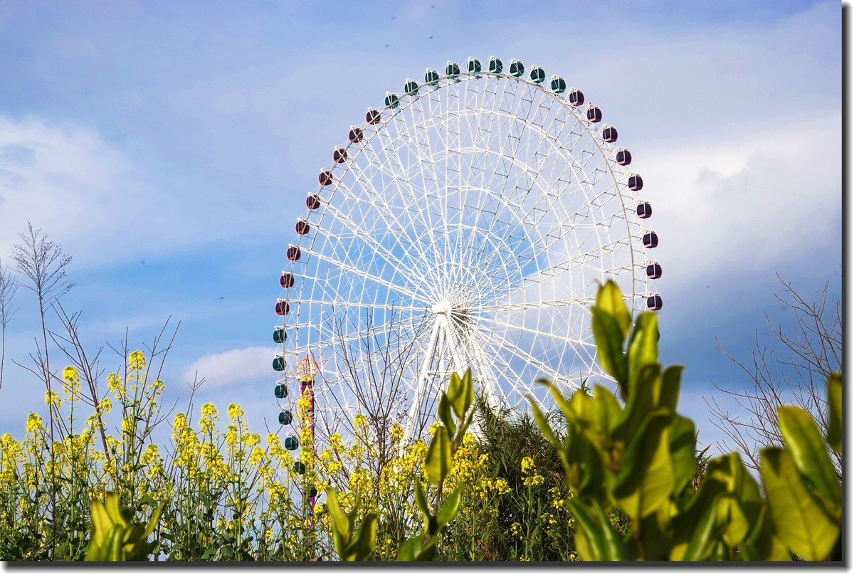 遥望“摩天轮”