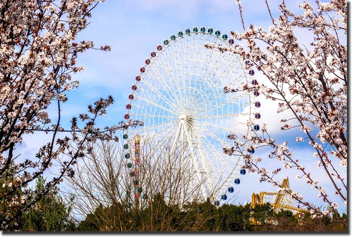 遥望“摩天轮”