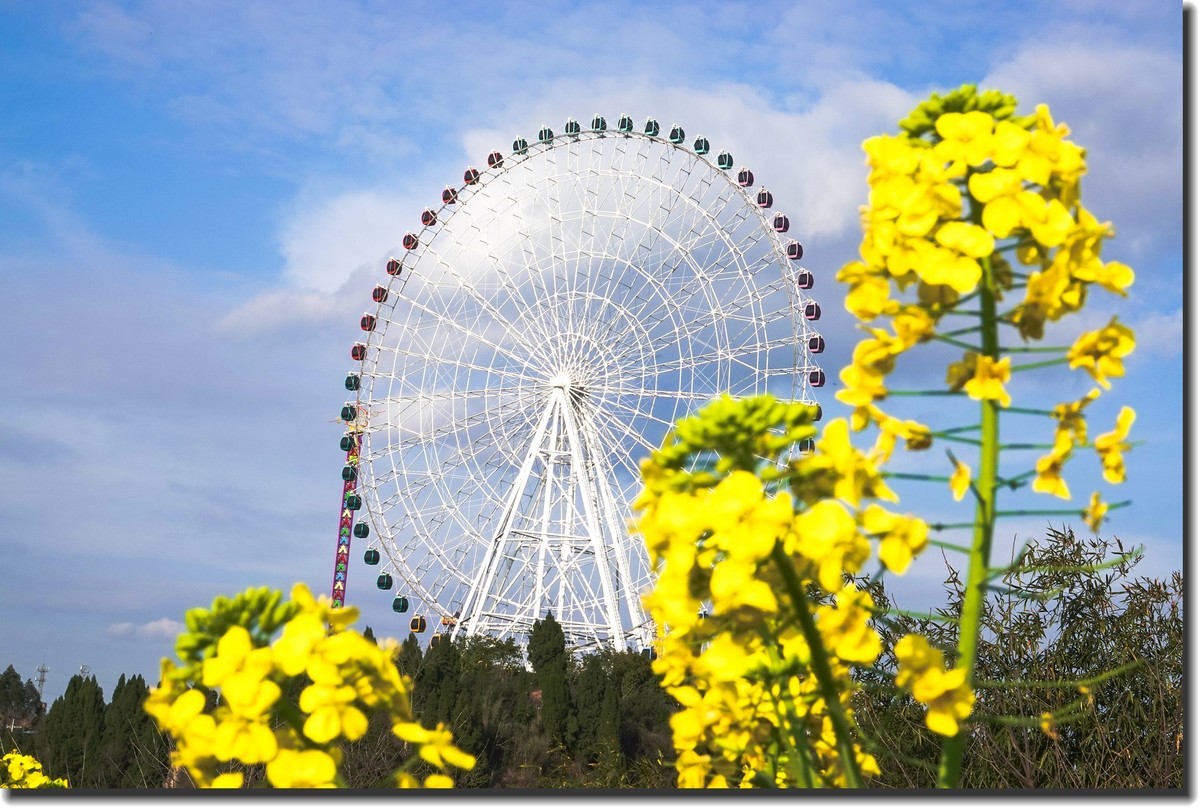 遥望“摩天轮”
