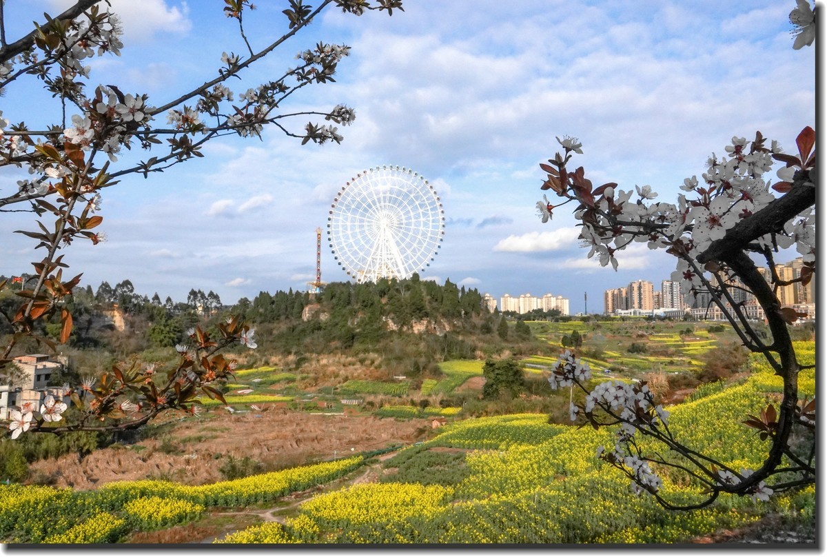 遥望“摩天轮”