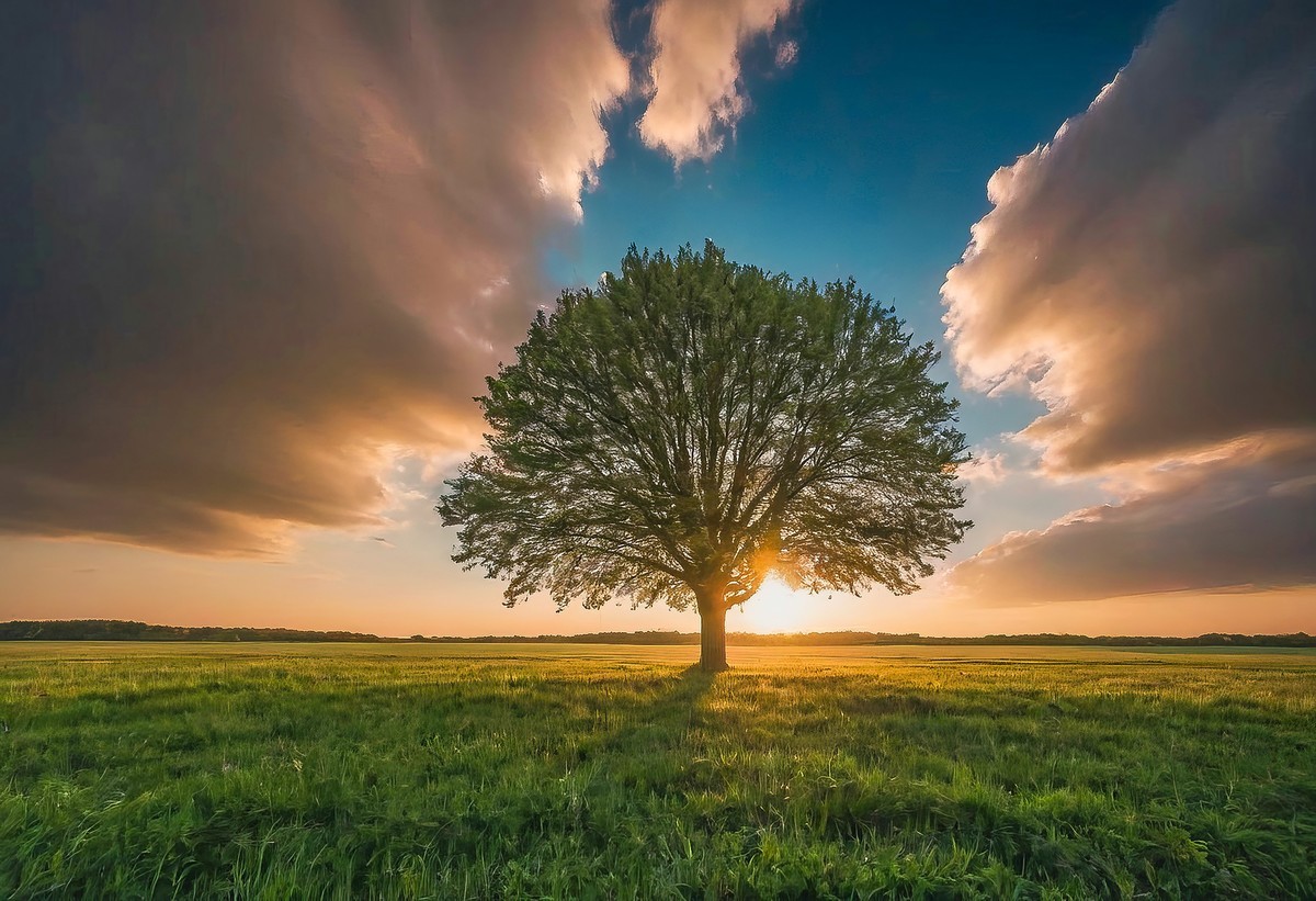 远离城市的喧嚣