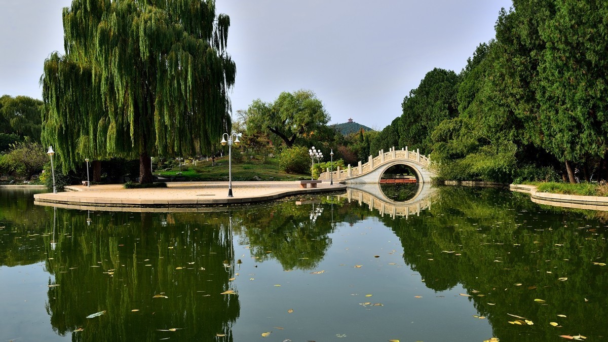 【视觉光影】泉 城 秋 色 （8）