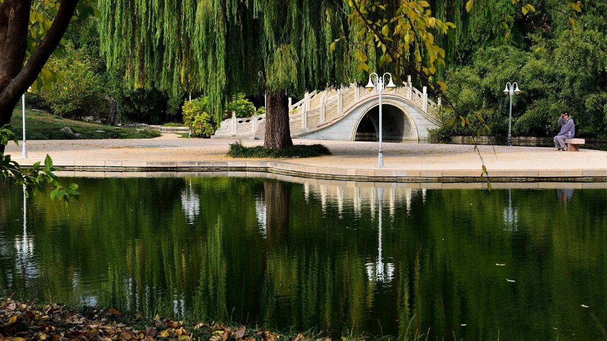 【视觉光影】泉 城 秋 色 （8）