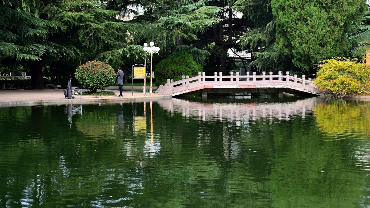 【视觉光影】泉 城 秋 色 （8）