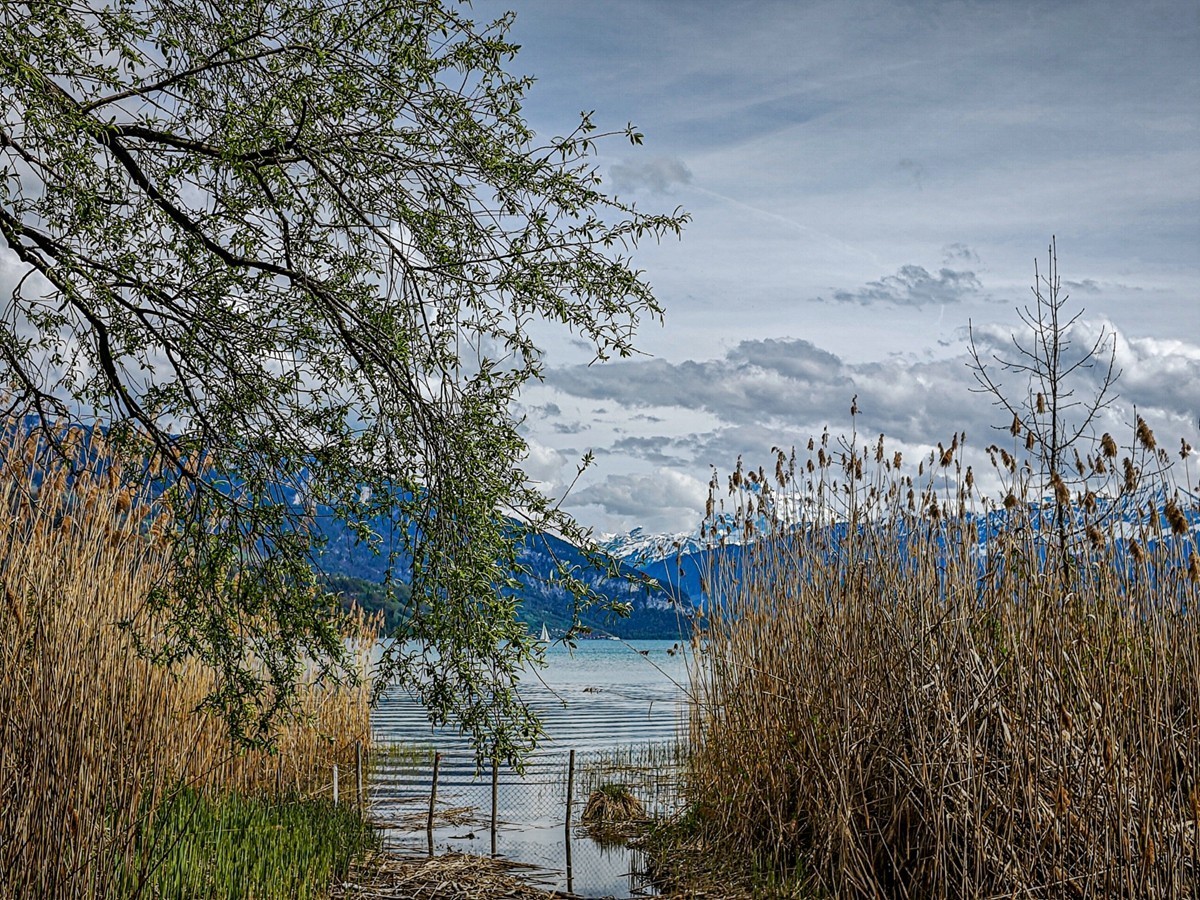 “因特拉肯”之湖
