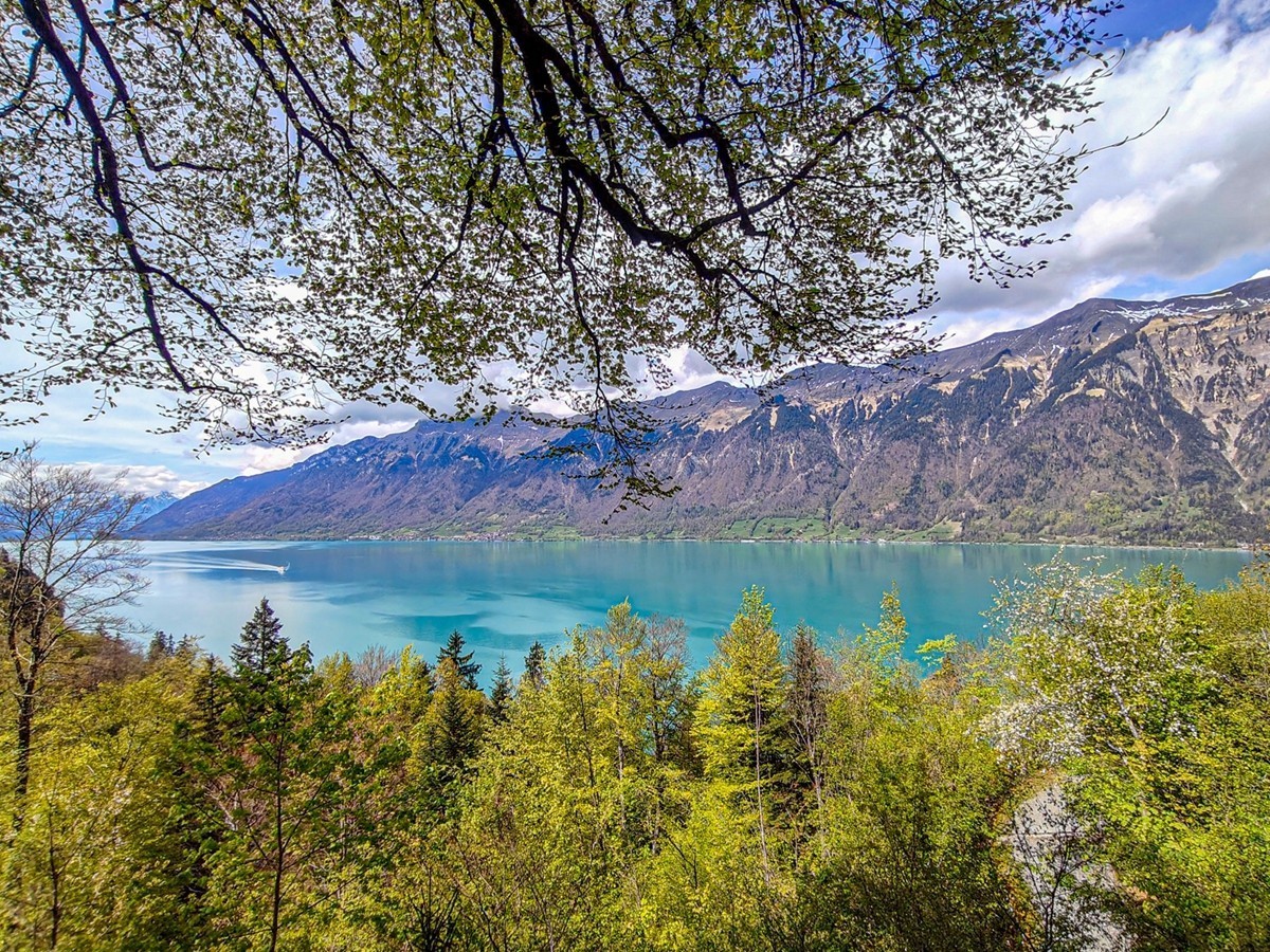 “因特拉肯”之湖