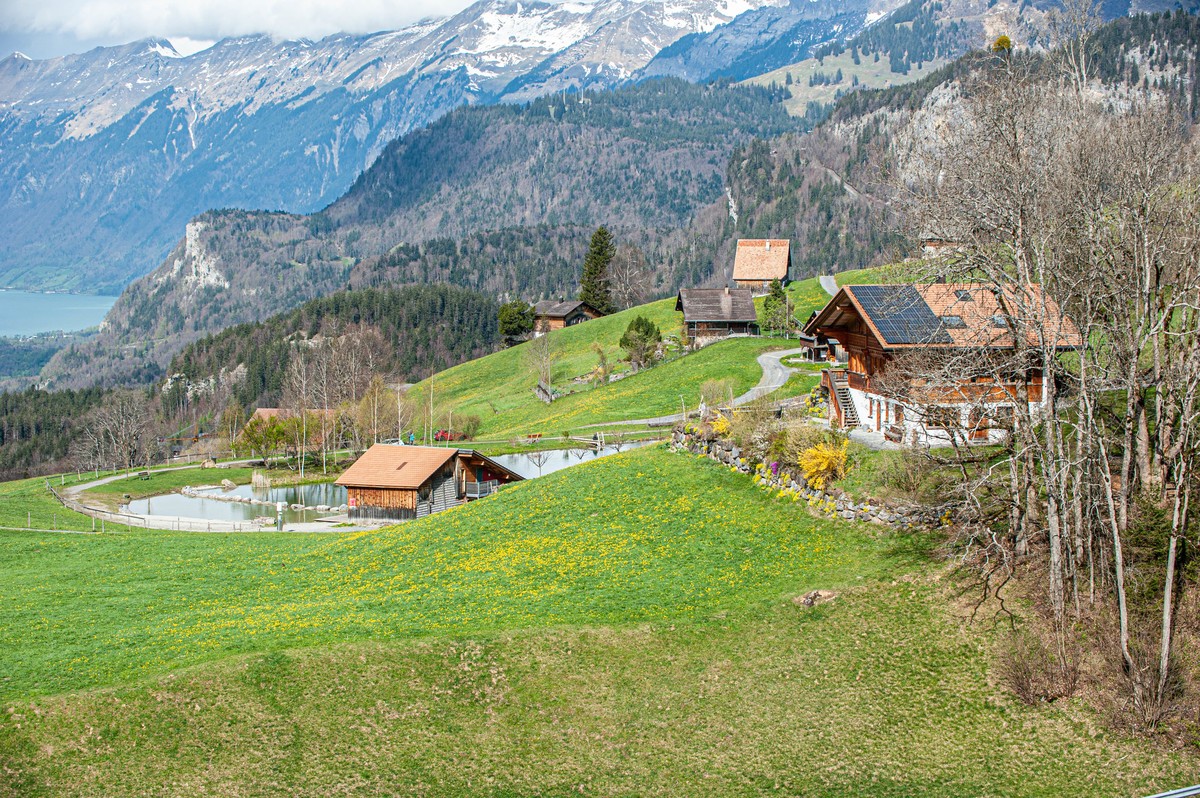 旅游度假村（瑞士Hasliberg）