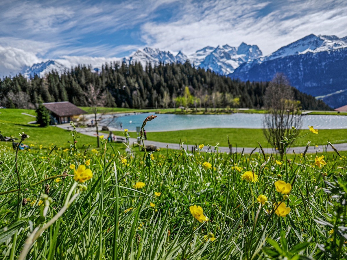 村摄（瑞士Hasliberg自然保护区）
