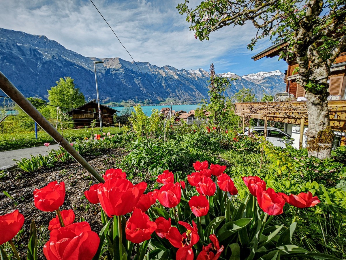 村摄（瑞士Hasliberg自然保护区）