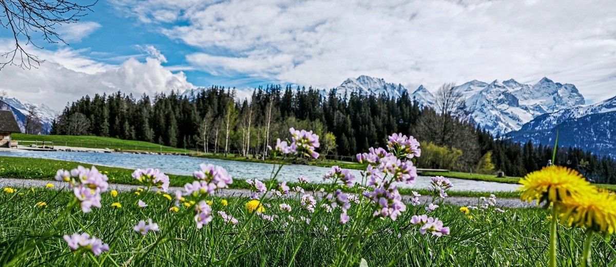 村摄（瑞士Hasliberg自然保护区）