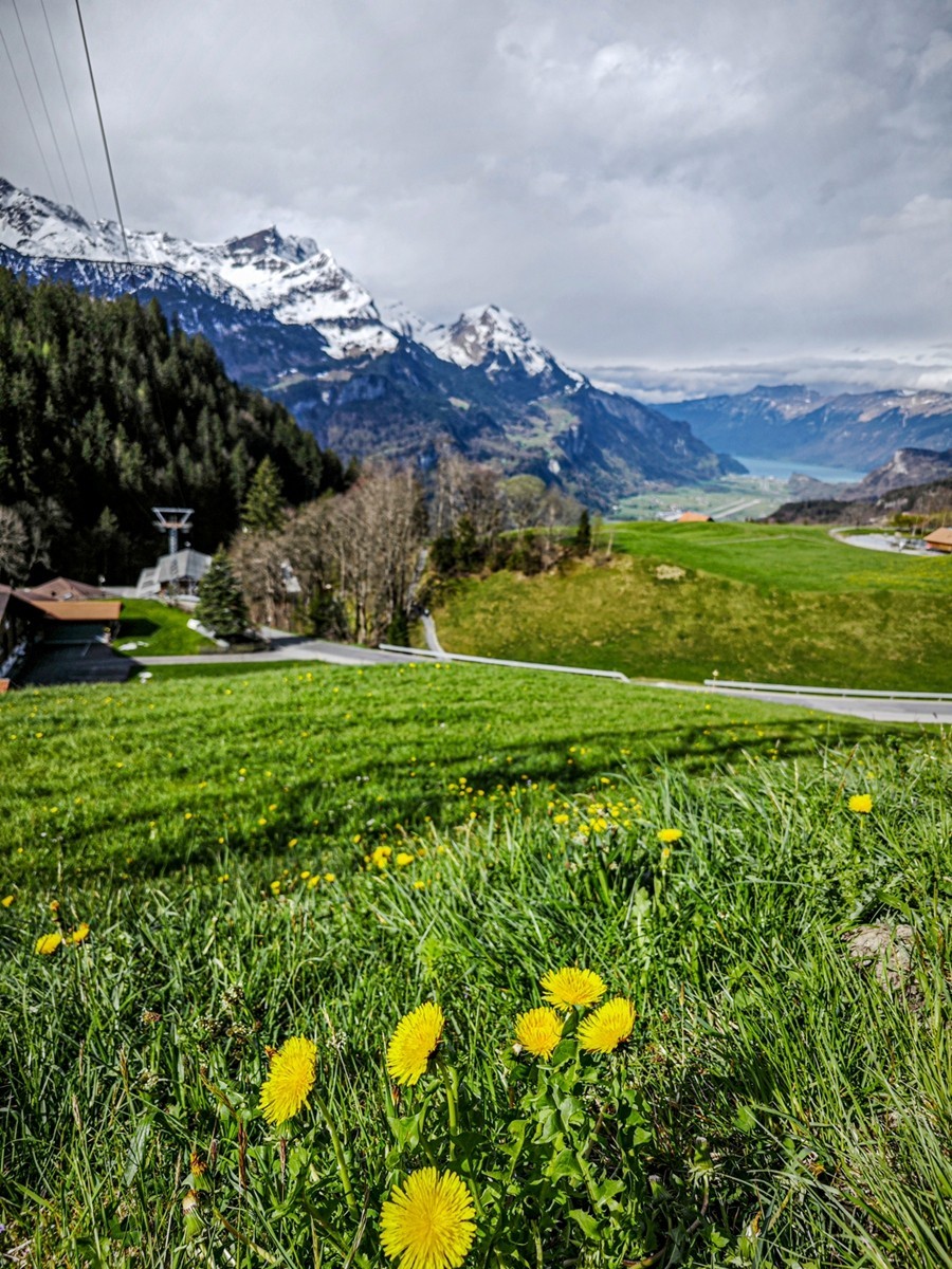 村摄（瑞士Hasliberg自然保护区）
