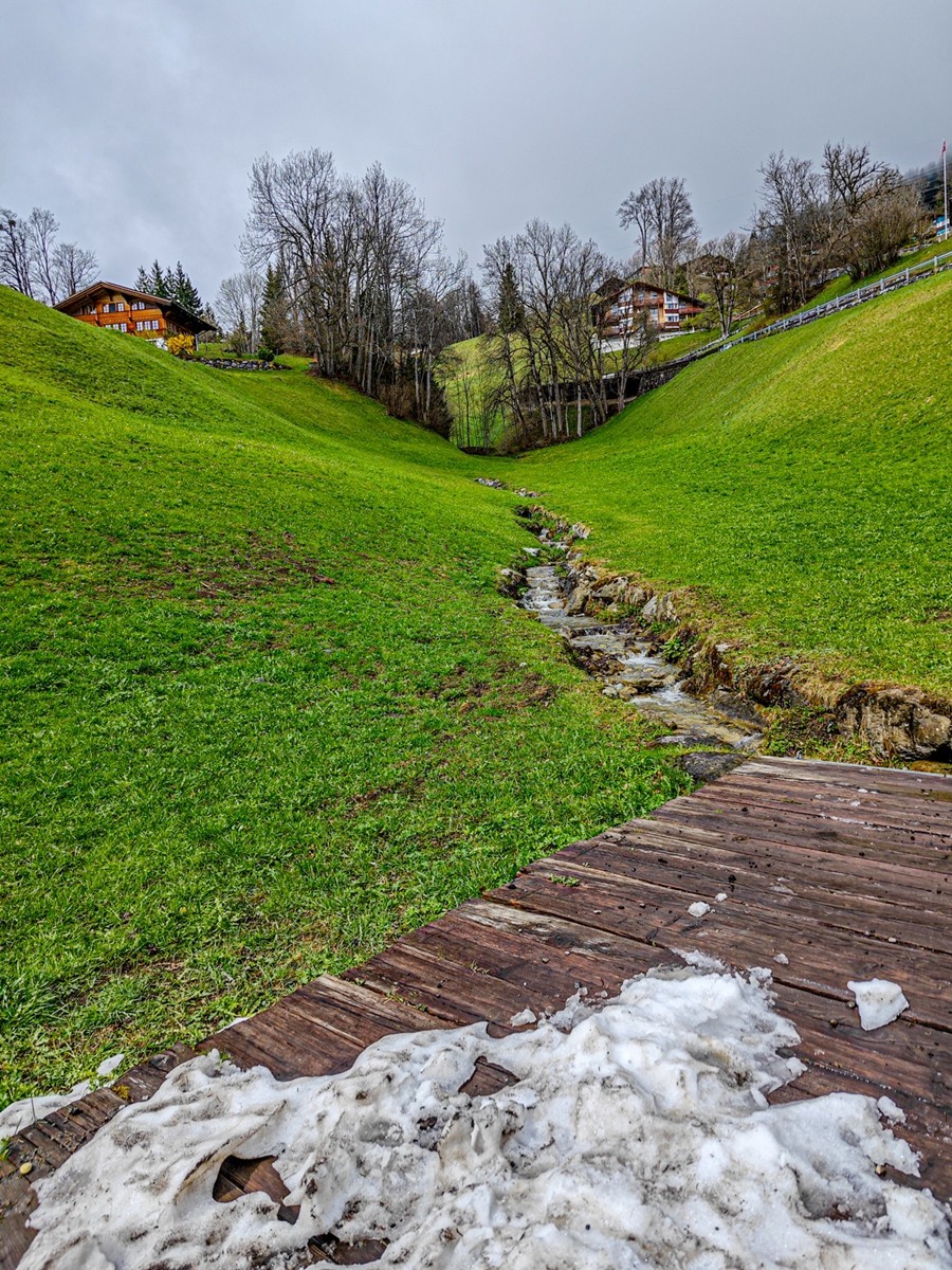 村摄（瑞士Hasliberg自然保护区）