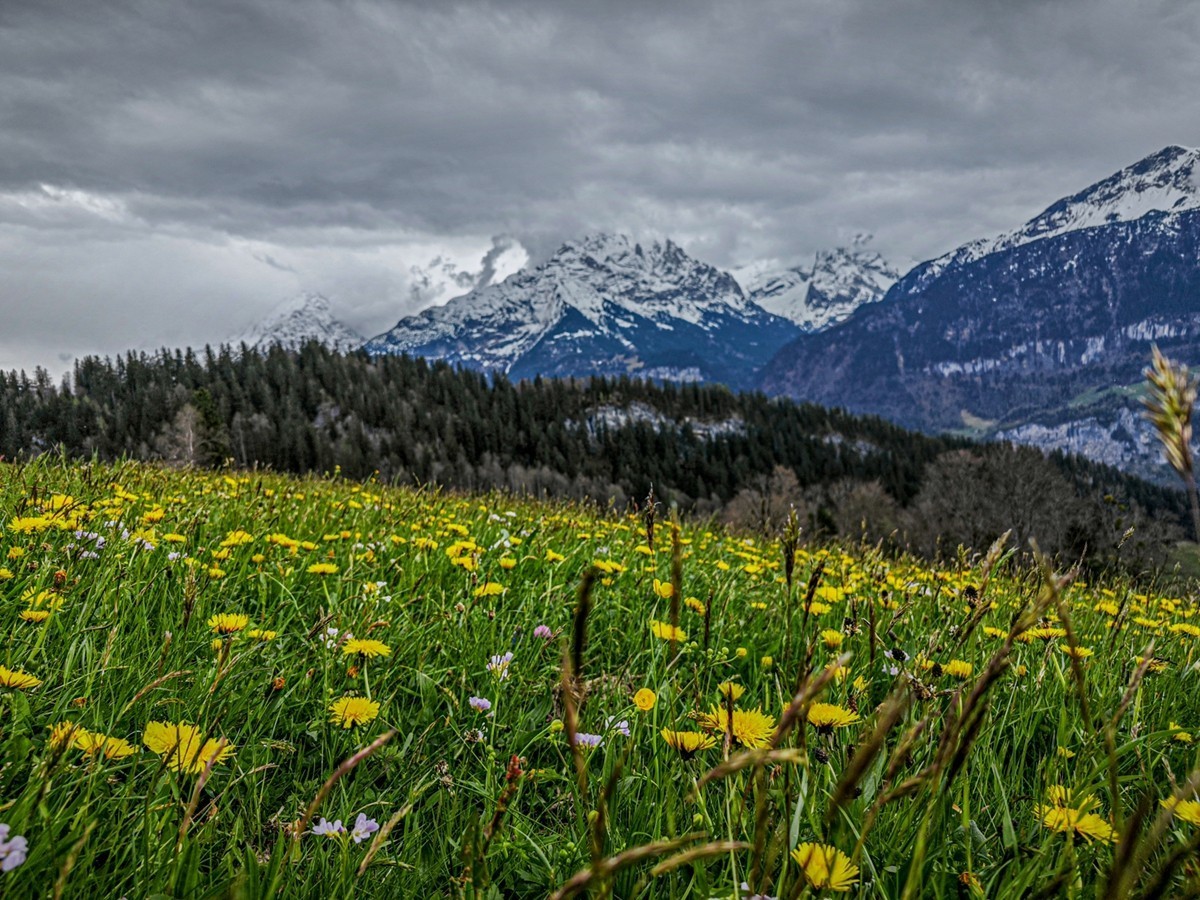 村摄（瑞士Hasliberg自然保护区）