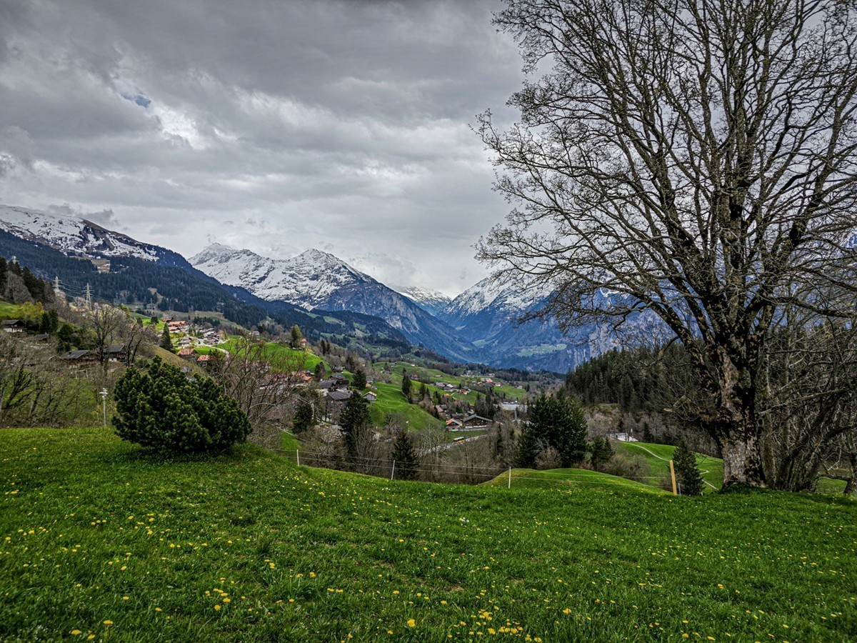 村摄（瑞士Hasliberg自然保护区）