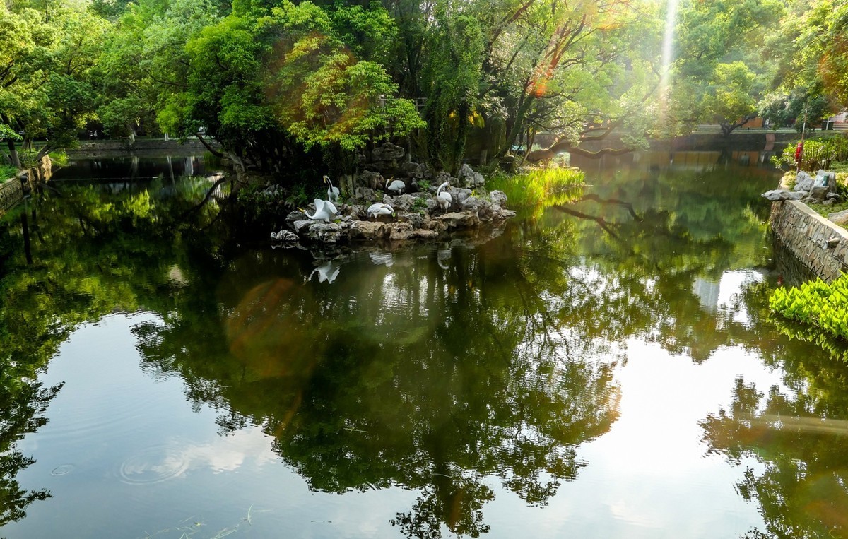 武汉“中山公园”掠影